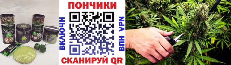 Купить где Карабаш Cannafood конопля