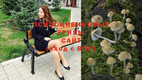 винт Аркадак