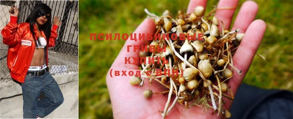 гашишное масло Арсеньев