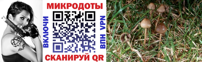 Купить где  Карабаш  Галлюциногенные грибы мухоморы 